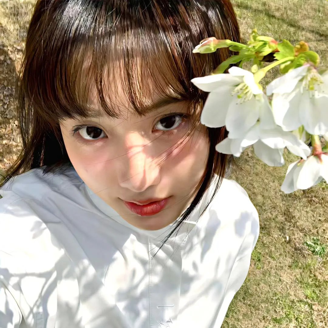 花游记